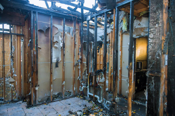 Professional Fire Damage Removal technician working in Buckeystown, MD